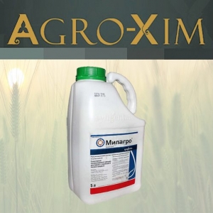 ������ �������� ������� - ����������� 1