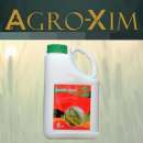 ������� � ����������: ������ �������� �������