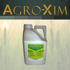 ������ �������� ������� - ����������� 1