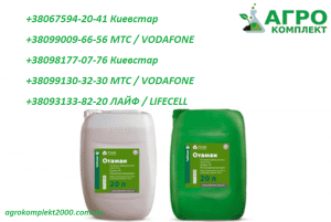 ������ �������� �������, ���� - ����������� 1