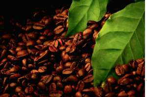 ������ �������� ������� ���� - ����������� 1