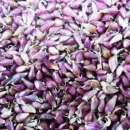 ������ �������� �������. ���� ���������� ����������.. ������/����� ������ - �������/�������