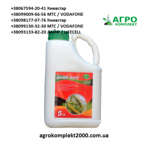 ������ �������� ������� ����� (������ �����), ������� - ����������� 1