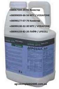 ������ �������� �������, ������� - ����������� 1