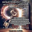 ������� � ����������: ������ �������� �������. �������. ��������. �������� �����.