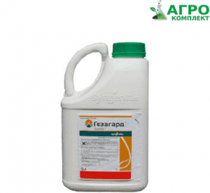 ������ �������� �������� - ����������� 1