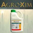 ������� � ����������: ������ �������� ��������