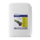 ������� � ����������: ������ �������� ��������