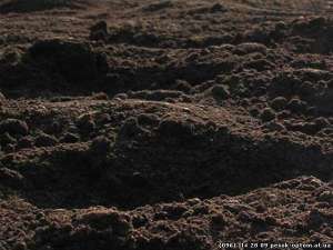 ������ �������� �������� � ��������� - ����������� 1