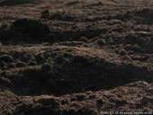 ������� � ����������: ������ �������� �������� � ���������