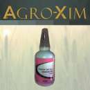 ������� � ����������: ������ �������� �������� ���