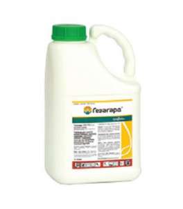 ������ �������� �������� �������. - ����������� 1