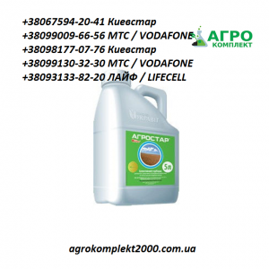 ������ �������� �������� (�������� ��������), �������� - ����������� 1