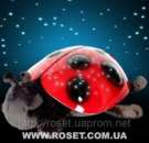 ������ - �������� ��������� ���� ����� ������� - ����������� 2