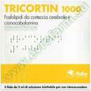 ������� � ����������: ������ �������� ��������� ������ � ������� ����� � ���.