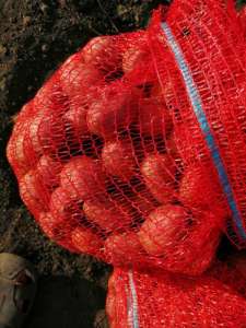 ������ �������� ��������� ������ �����������. - ����������� 1