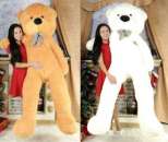 ������ �������� ��������� ������� � ������ ��������. ������ ������ - ������