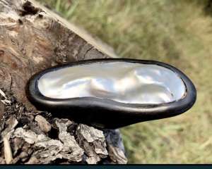 ������ ��������, ���������� � ������ - ����������� 1