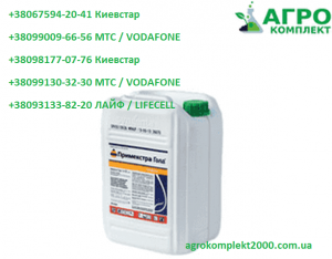 ������ �������� ���������� ���� (��������), ������� - ����������� 1