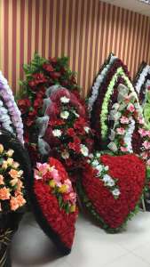 ������ �������� ���������� ����� � ����� - ����������� 1