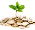 ������ �������� ���������� ����� �� ������� ��������. ���������� - ������