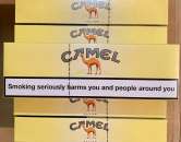 ������� � ����������: ������ �������� ���������� �������� �����