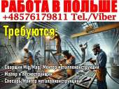 ������� � ����������: ������: ��������, ���������� ������������������, ������.