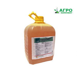 ������ �������� ����-������� (��������). - ����������� 1