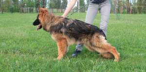 ������ �������� ������������ ������ ��������� ������, �������� ��� - ����������� 1