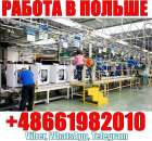 ������� � ����������: ������. ��������: ������������ ������� �������.