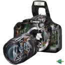 ������� � ����������: ������ �������� ������������� � ����� � �������.