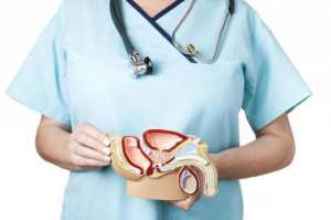 ������ ��������, ������������� ������ (����������� � ���������������) - ����������� 1