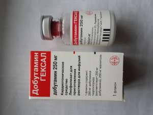 ������ ��������� 250 - ����������� 1