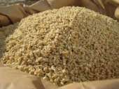 ������ ���������