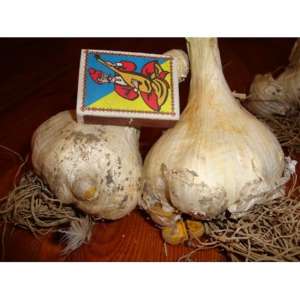 ������ ��������� - ����������� 1