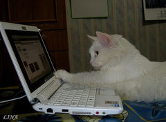 ������ ��������� - ����������� 1