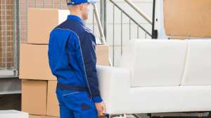 ������ ���������, �. ����. �������� ������., �. ����. ������������ � ��������� ������ ��������. - ����������� 1