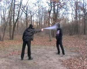 ������ ��������� � ������� �������� ��� ����������� - ����������� 1