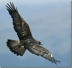 ������ ��������� �� 50 000 ��� ��� ������ � ����������� - ����������� 1