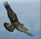 ������� � ����������: ������ ��������� �� 50 000 ��� ��� ������ � �����������