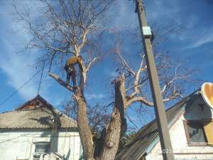 ������, ��������� �� ���� ����� ��� - ����������� 1