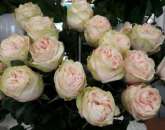 ������� � ����������: ������ ��������� �� �����