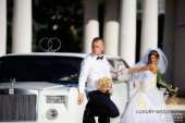 ������ ��������� �� ������� � ������ �� �Luxury Wedding� - ����������� 3