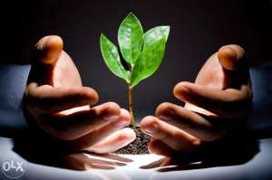 ������ ��������� ��� ������ ������� - ����������� 1