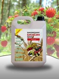 ������ ��������� ��� ����������� �������� ��� ��������� ���� (�����,������,������,�����) - ����������� 1