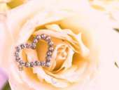 ������ ��������� ���� ��������� ����� - ����������� 2