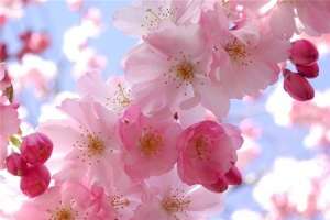 ������ ��������� ����, ���������� �� ������� ��������, ���� ���������� � ��� �������� - ����������� 1