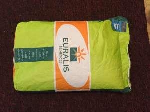 ������ ��������� ����˲� �� ������ ��� 370 - ����������� 1