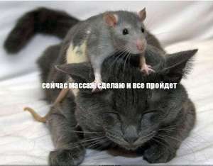 ������, ���������, ����� �� ���, �������, ������ - ����������� 1