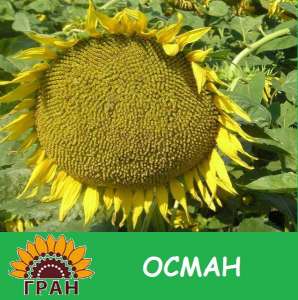 ������ ��������� ����� ����� / �� ������ ����� - ����������� 1